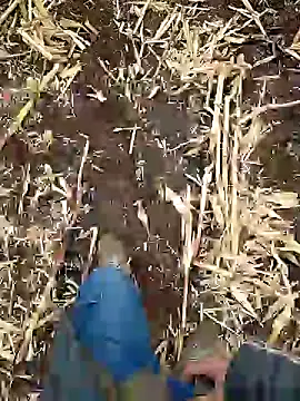 Snapshot of murokkk31 chatting on January 5, 6:46 am murokkk31 online show from January 5, 6:46 am