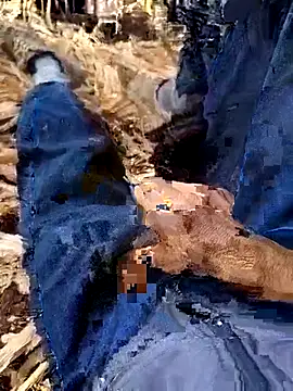 Snapshot of murokkk31 chatting on December 4, 8:34 am murokkk31 online show from December 4, 8:34 am