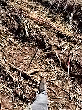 Snapshot of murokkk31 chatting on December 14, 8:41 am murokkk31 online show from December 14, 8:41 am