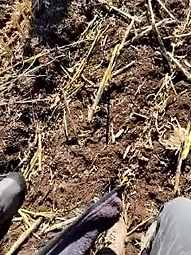 Snapshot of murokkk31 chatting on December 18, 9:37 am murokkk31 online show from December 18, 9:37 am