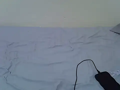 tasty piee online show from October 25, 4:42 am