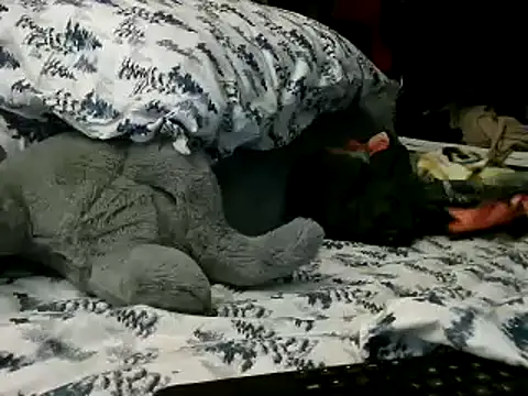 WHITEDAROSE online show from January 15, 2:13 pm