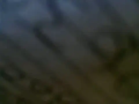 WHITEDAROSE online show from March 12, 7:17 pm