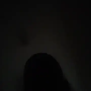 wlammi ptr online show from December 1, 5:01 am