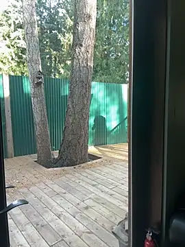 twist699 online show from November 8, 6:40 pm