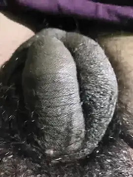 rajrahulovi online show from February 13, 12:56 pm