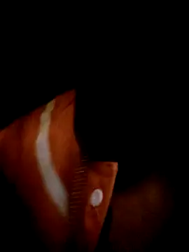 Snapshot of ale3J4a chatting on February 2, 6:48 am ale3J4a online show from February 2, 6:48 am