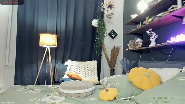 Snapshot of DominikaElis chatting on February 15, 8:11 pm DominikaElis online show from February 15, 8:11 pm