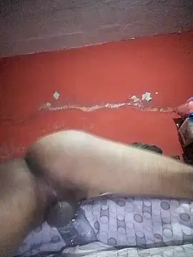 Snapshot of VL25DN26 chatting on December 22, 1:33 pm VL25DN26 online show from December 22, 1:33 pm