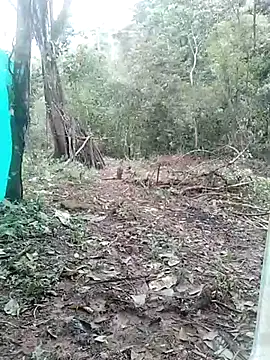 andreu mature online show from March 3, 4:14 pm