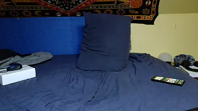 Spacecase2021 online show from January 7, 8:56 am