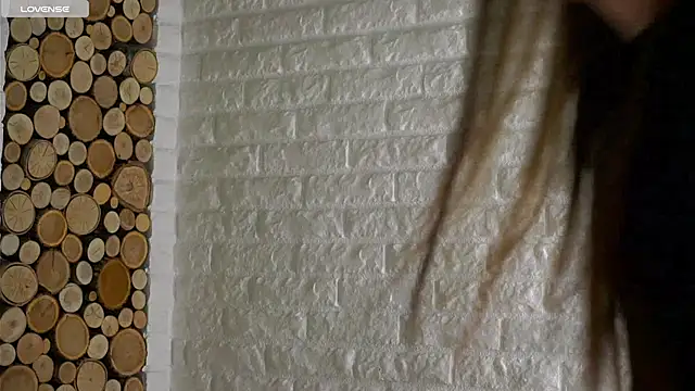 Snapshot of LowOncoming chatting on November 29, 2:03 am LowOncoming online show from November 29, 2:03 am