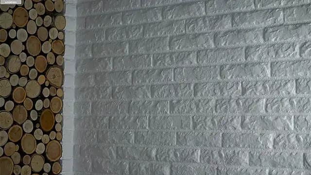 Snapshot of LowOncoming chatting on December 1, 2:05 am LowOncoming online show from December 1, 2:05 am