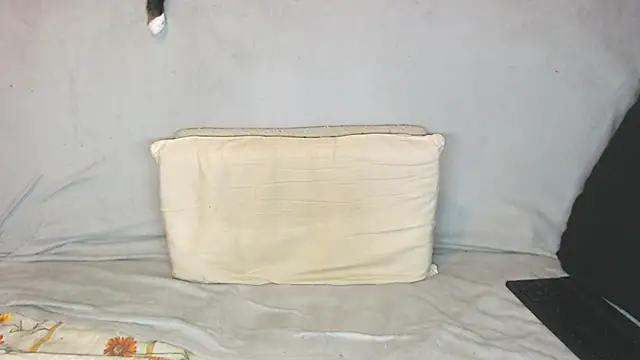 Snapshot of qustci-couple chatting on October 21, 9:43 am qustci-couple online show from October 21, 9:43 am