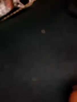 5g4ever online show from March 25, 10:54 am