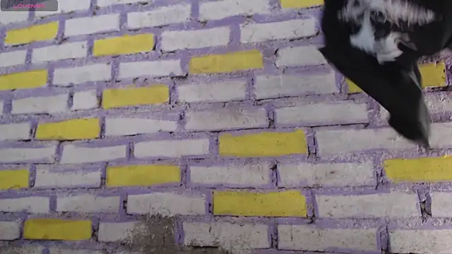 Snapshot of Lukas_strong chatting on November 8, 2:06 pm Lukas strong online show from November 8, 2:06 pm