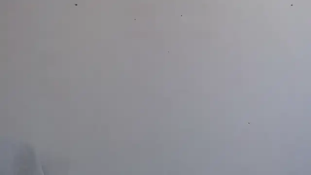 Niurca01  online show from September 26, 3:49 pm