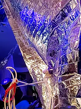 Snapshot of gurlnips chatting on March 21, 11:33 am gurlnips online show from March 21, 11:33 am