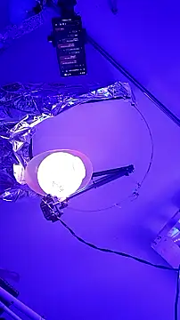 Snapshot of gurlnips chatting on September 26, 9:57 am gurlnips online show from September 26, 9:57 am