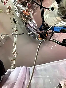 Snapshot of gurlnips chatting on November 26, 6:25 am gurlnips online show from November 26, 6:25 am