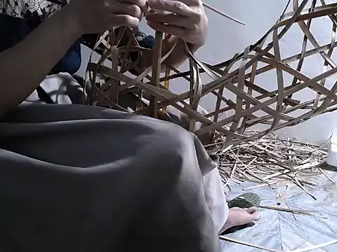 Snapshot of nolame18xxx chatting on November 14, 11:42 am nolame18xxx online show from November 14, 11:42 am