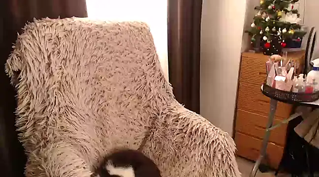 Goddessmxx online show from December 13, 11:55 am