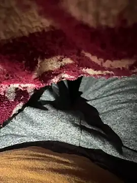 nikindian2024 online show from January 28, 4:30 pm