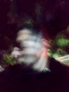 Snapshot of mis312 chatting on March 4, 1:45 am mis312 online show from March 4, 1:45 am