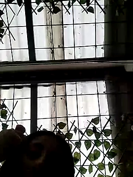 ailyn miranda online show from March 15, 6:21 pm