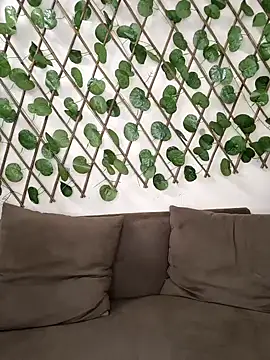 Snapshot of Bold-Cat chatting on October 2, 8:16 pm Bold-Cat online show from October 2, 8:16 pm