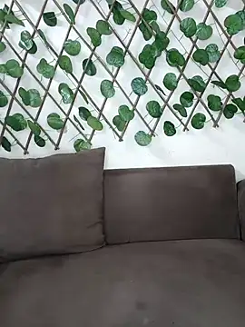 Snapshot of Bold-Cat chatting on November 17, 4:46 pm Bold-Cat online show from November 17, 4:46 pm