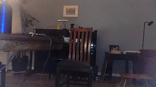 Snapshot of RolfS chatting on January 18, 11:11 pm RolfS online show from January 18, 11:11 pm