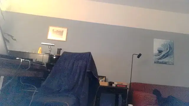 Snapshot of RolfS chatting on February 8, 12:49 am RolfS online show from February 8, 12:49 am