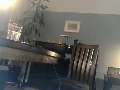 Snapshot of RolfS chatting on March 17, 11:00 pm RolfS online show from March 17, 11:00 pm