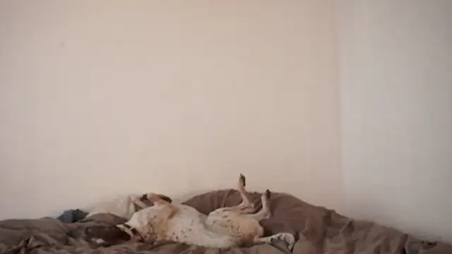 Snapshot of Stephany_talks chatting on March 19, 11:57 pm Stephany talks online show from March 19, 11:57 pm