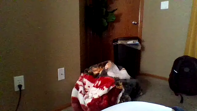 mikeystrong online show from March 17, 8:19 pm