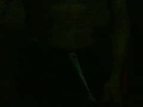 Snapshot of dangerman94 chatting on October 22, 2:34 am dangerman94 online show from October 22, 2:34 am