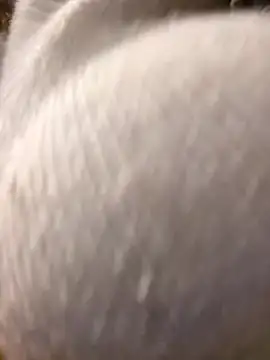 Giuliana baby online show from March 10, 9:21 am