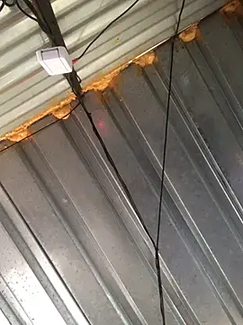 realGsign online show from February 9, 3:12 pm