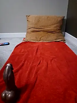 Snapshot of honeymex chatting on December 3, 3:14 am honeymex online show from December 3, 3:14 am