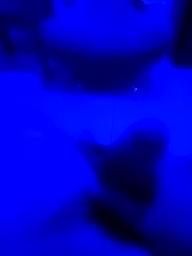 NICXUSS online show from December 4, 7:50 am