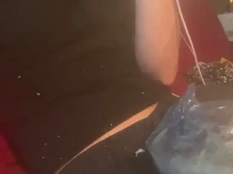 Snapshot of skatebored chatting on January 26, 4:51 pm skatebored online show from January 26, 4:51 pm