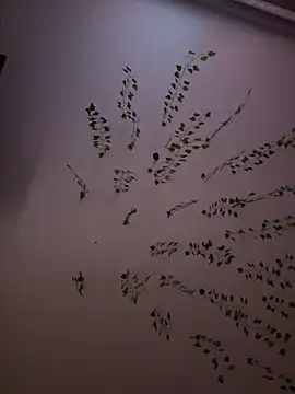 -Sexy Barbie- online show from February 8, 10:39 am