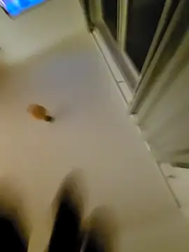 eric69 69 online show from November 7, 12:32 am