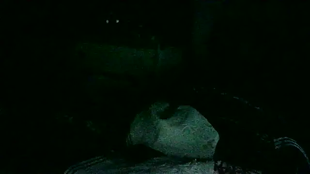 Snapshot of DI4MOND_FIR3 chatting on November 18, 10:41 am DI4MOND FIR3 online show from November 18, 10:41 am