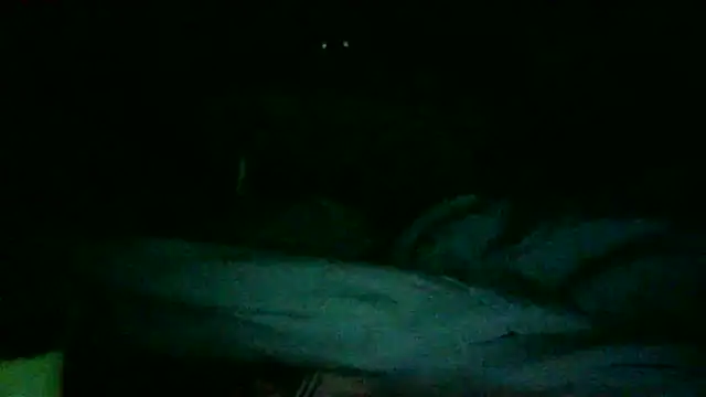 Snapshot of DI4MOND_FIR3 chatting on November 27, 12:18 pm DI4MOND FIR3 online show from November 27, 12:18 pm