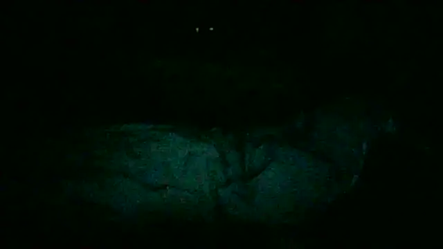 Snapshot of DI4MOND_FIR3 chatting on November 28, 12:24 am DI4MOND FIR3 online show from November 28, 12:24 am