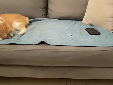 4small4inchlol online show from November 14, 3:55 pm