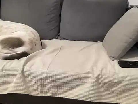 4small4inchlol online show from March 21, 12:10 pm