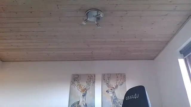 Snapshot of Gotta1 chatting on December 22, 11:44 am Gotta1 online show from December 22, 11:44 am